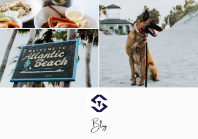 A dog stands in the snow-covered outdoor landscape, with a text banner reading "Welcome to Atlantic Beach Blog" above it.
